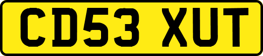 CD53XUT
