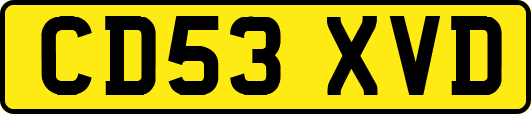 CD53XVD