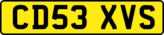 CD53XVS