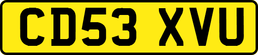 CD53XVU