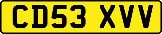 CD53XVV