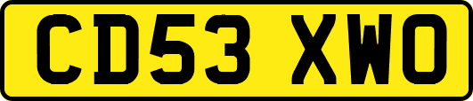 CD53XWO