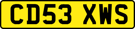 CD53XWS