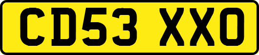 CD53XXO