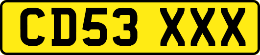 CD53XXX