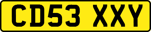 CD53XXY