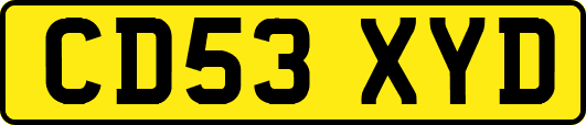 CD53XYD