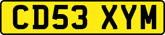 CD53XYM