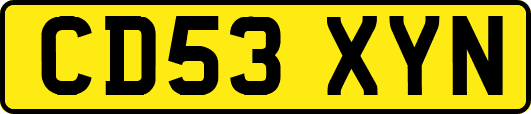 CD53XYN