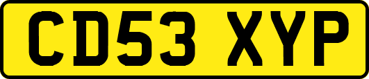 CD53XYP