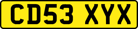 CD53XYX