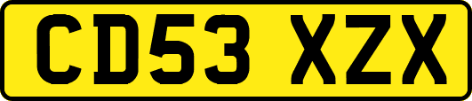 CD53XZX