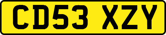 CD53XZY