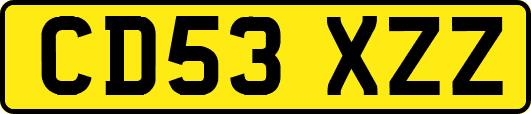 CD53XZZ