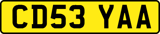 CD53YAA