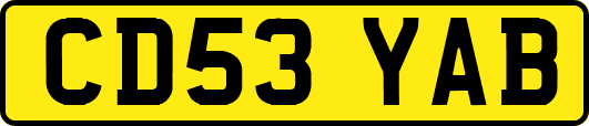 CD53YAB