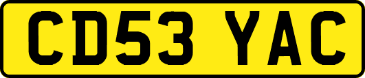 CD53YAC