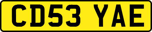 CD53YAE