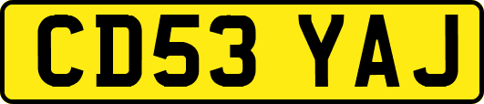 CD53YAJ