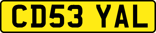 CD53YAL