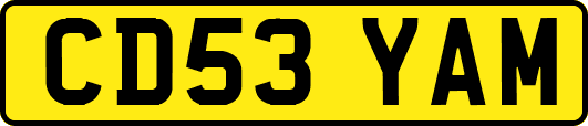 CD53YAM
