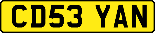 CD53YAN