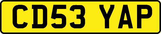 CD53YAP