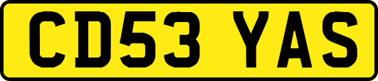 CD53YAS