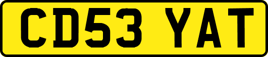 CD53YAT