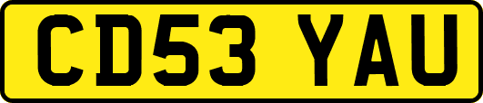 CD53YAU