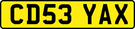 CD53YAX
