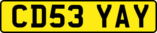 CD53YAY