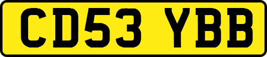 CD53YBB