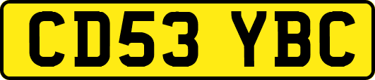 CD53YBC