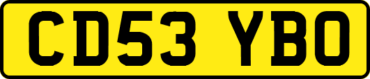 CD53YBO