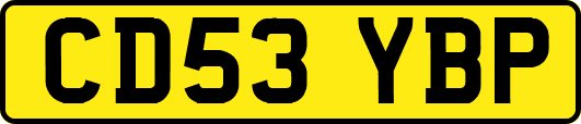 CD53YBP