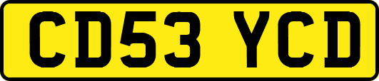 CD53YCD