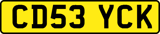 CD53YCK