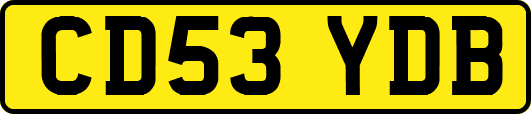 CD53YDB