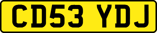 CD53YDJ