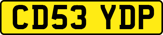 CD53YDP