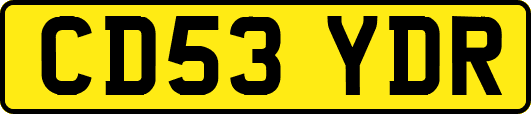 CD53YDR