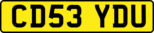 CD53YDU