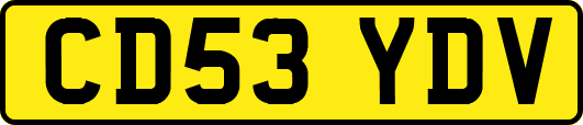 CD53YDV