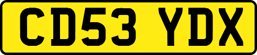 CD53YDX