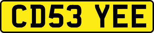 CD53YEE