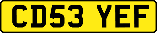 CD53YEF