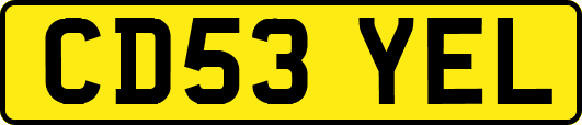 CD53YEL