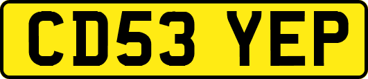 CD53YEP
