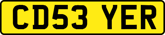 CD53YER